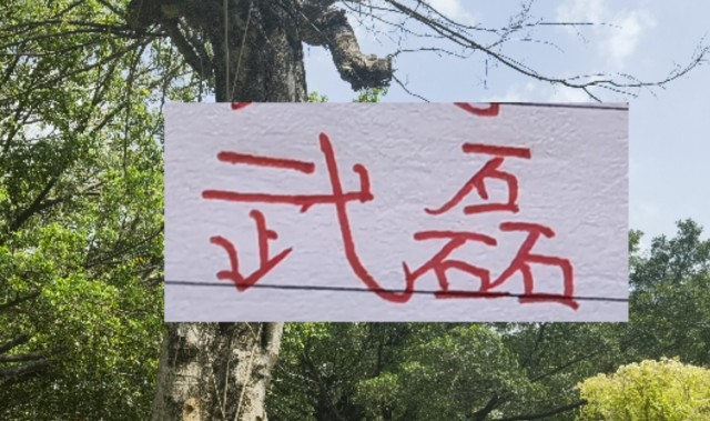 爱游戏中国官网-2月海港就要打亚冠比赛 大概率武磊+莱昂纳多 这些一哥上不了